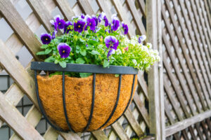 Blumenkästen