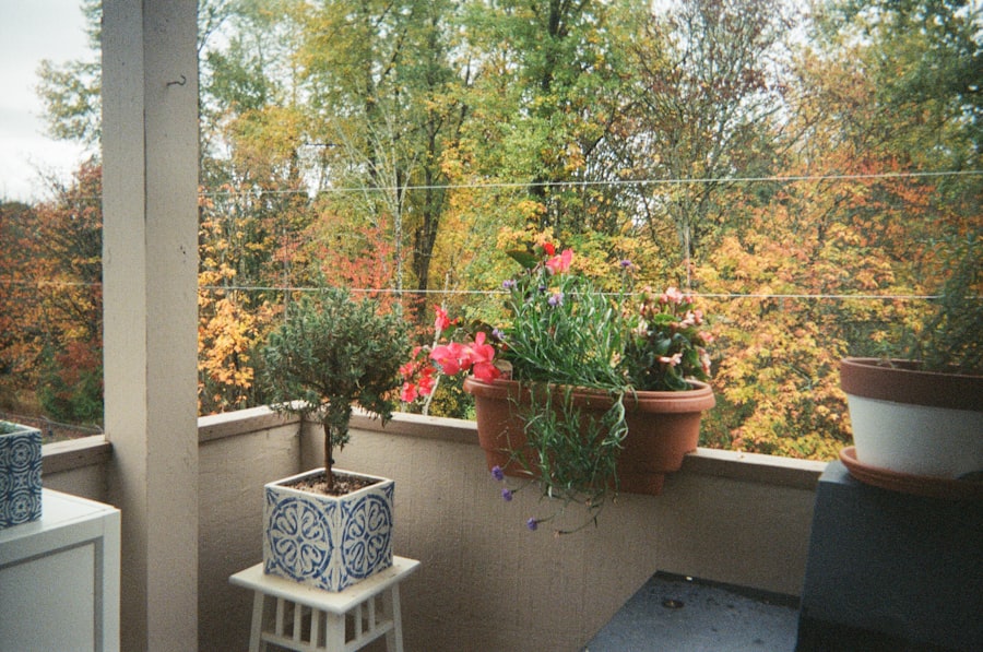 Photo Balcony Plants